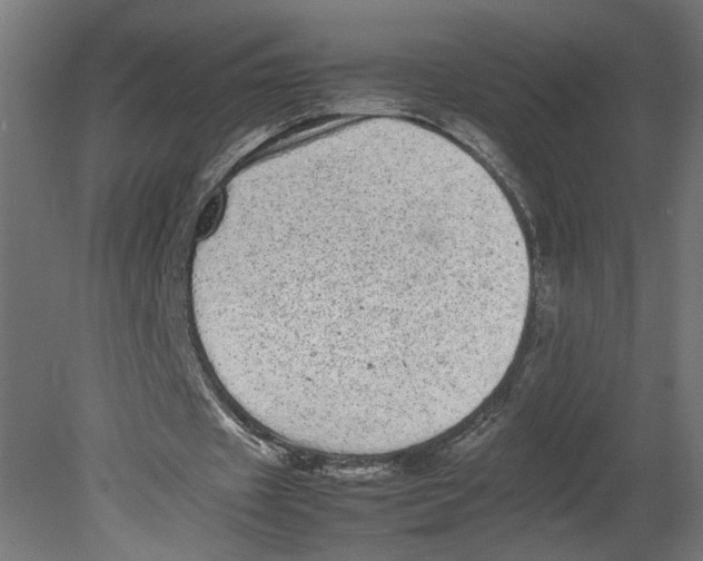 X0000080680433200701121703