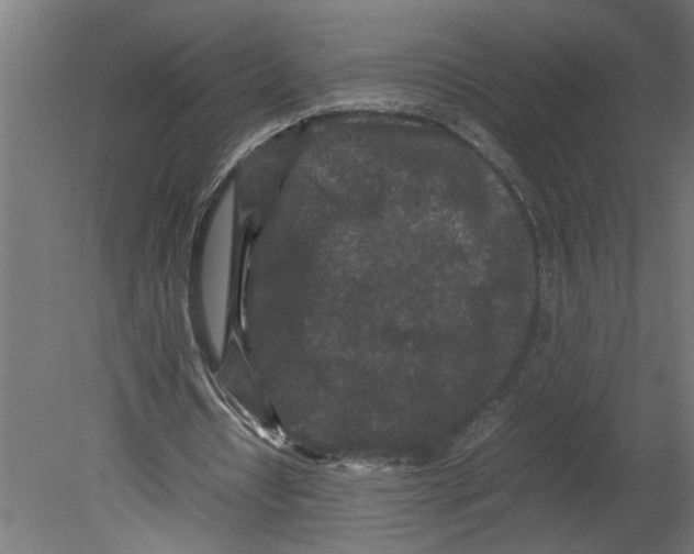 X0000080680434200701121703