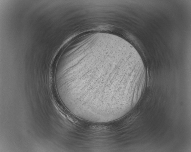 X0000080680435200701121703