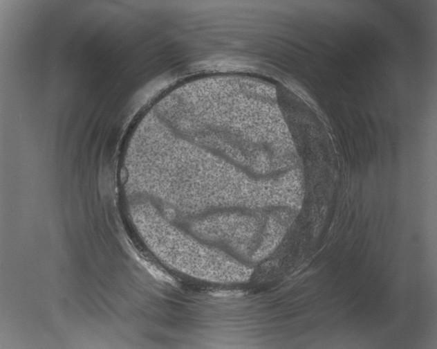 X0000080680438200701121703