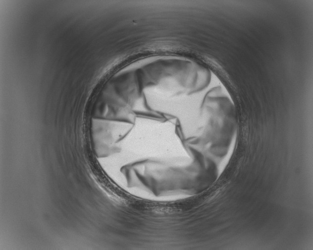 X0000080680439200701121703