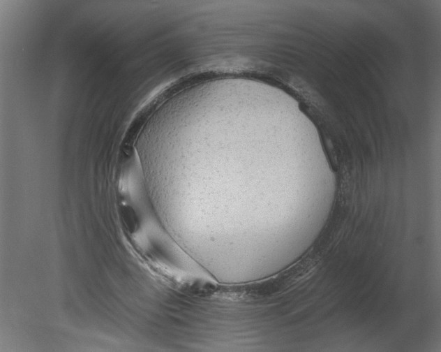 X0000080680440200701121703