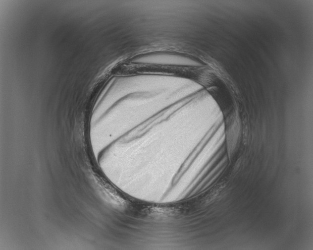 X0000080680442200701121703