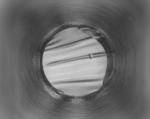 X0000080680446200701121703