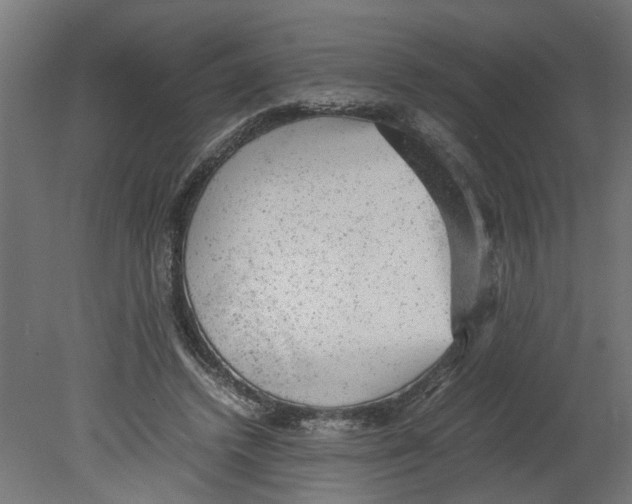 X0000080680448200701121703