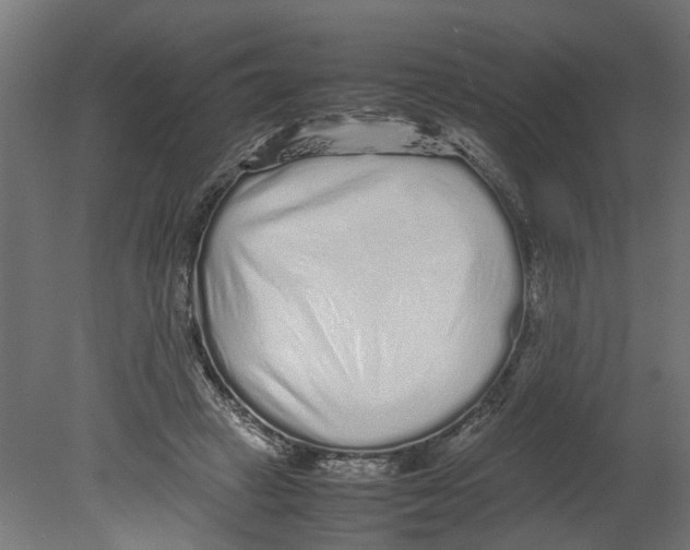 X0000080680449200701121703