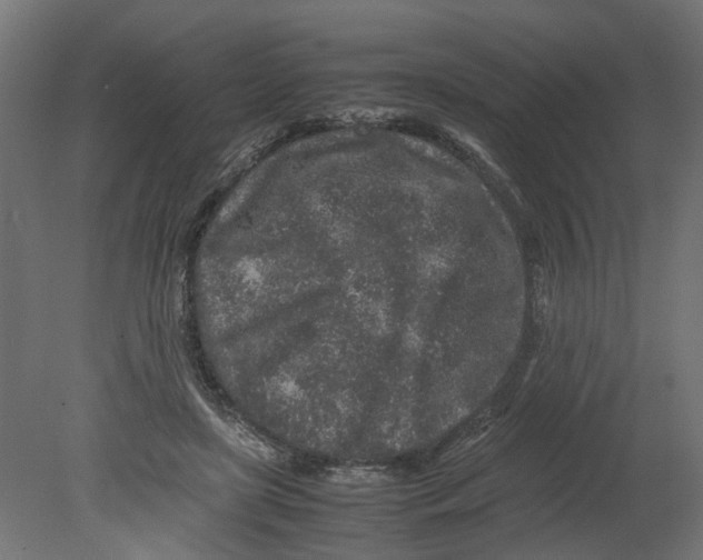 X0000080680451200701121703