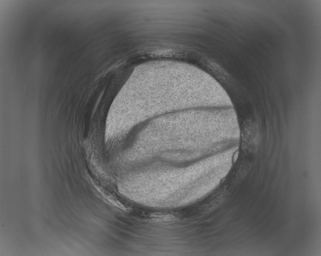 X0000080680454200701121703