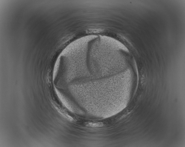 X0000080680455200701121703