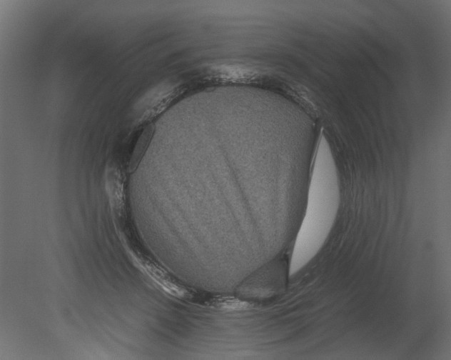 X0000080680456200701121703