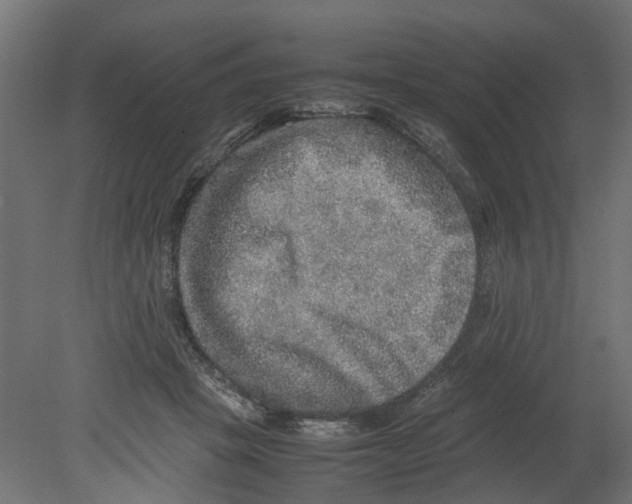 X0000080680457200701121703