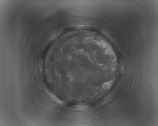 X0000080680458200701121703