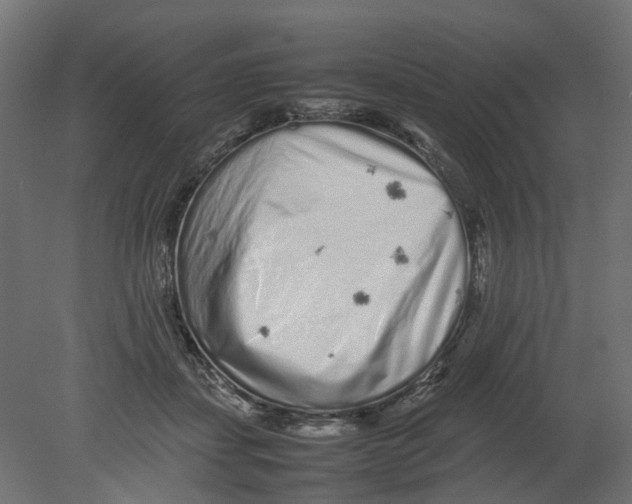 X0000080680459200701121703