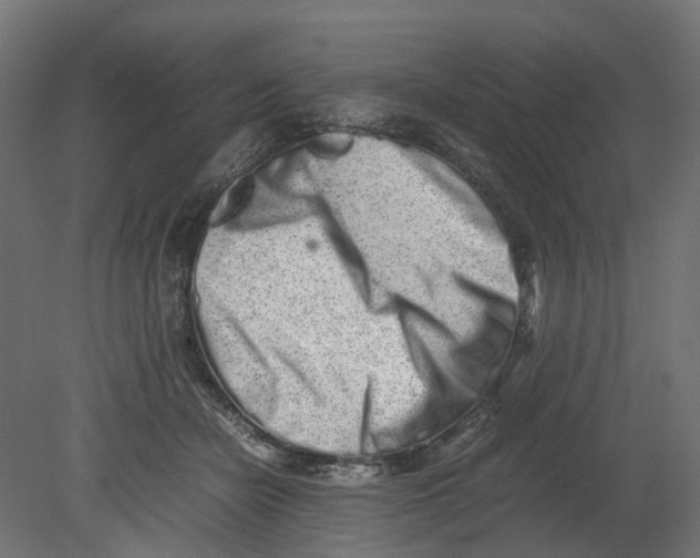 X0000080680462200701121703