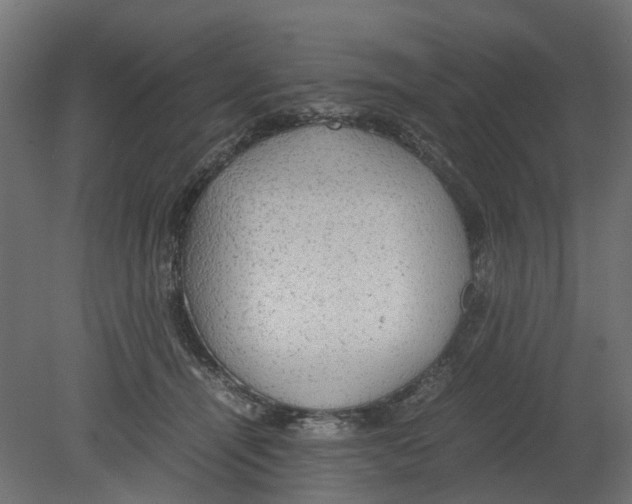 X0000080680464200701121703