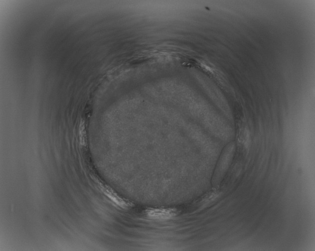 X0000080680465200701121703