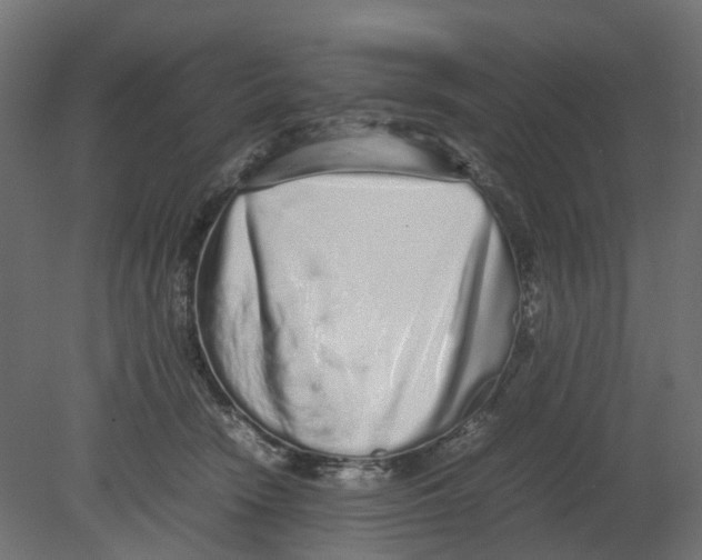 X0000080680466200701121703