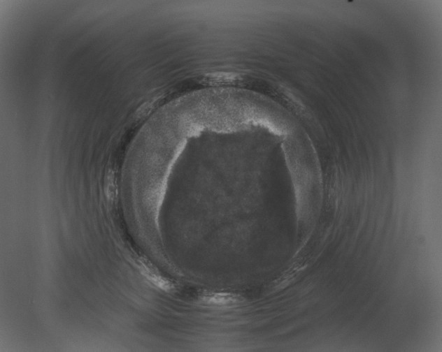 X0000080680467200701121703