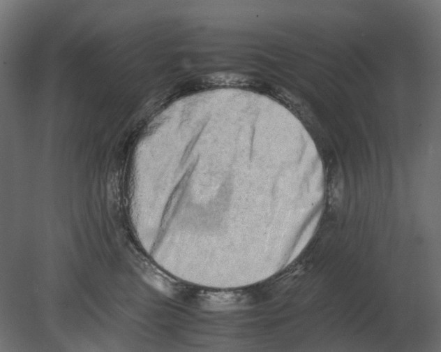 X0000080680473200701121703