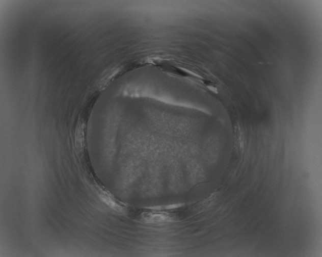 X0000080680475200701121703