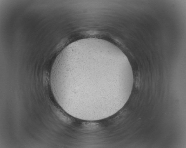 X0000080680476200701121703