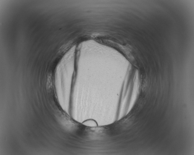 X0000080680478200701121703