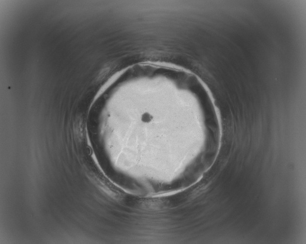 X0000080680479200701121703