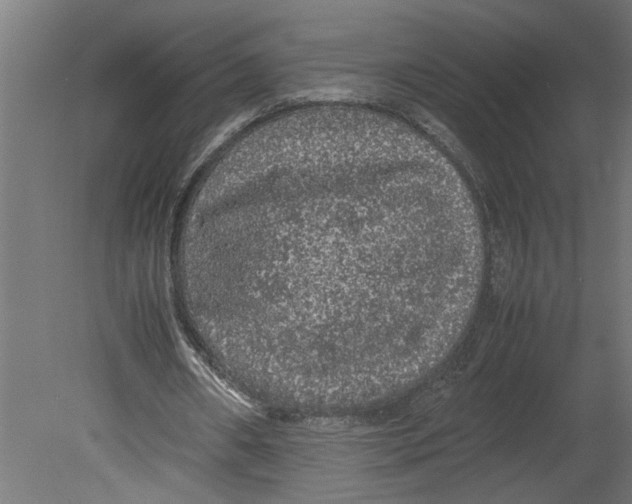 X0000080680482200701121703