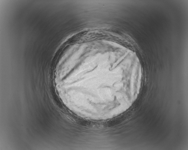 X0000080680483200701121703