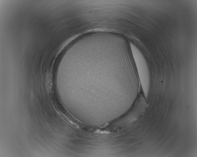 X0000080680484200701121703