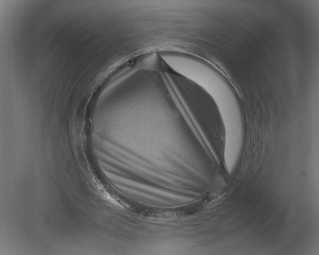 X0000080680485200701121703