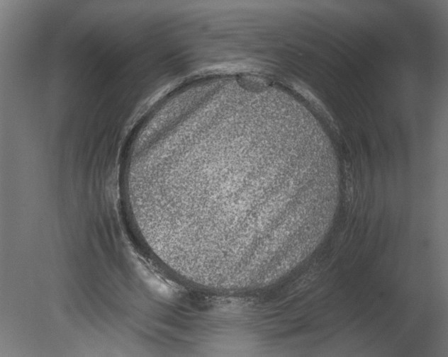 X0000080680486200701121703