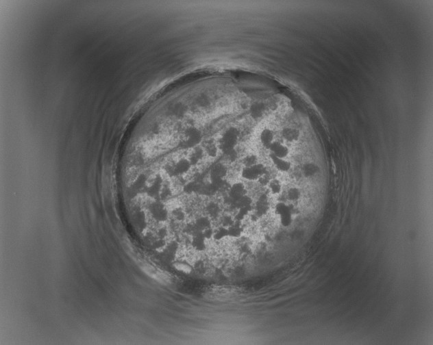 X0000080680487200701121703