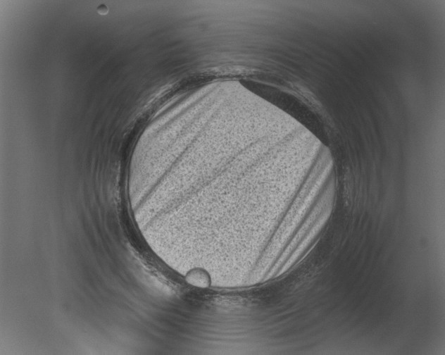 X0000080680490200701121702