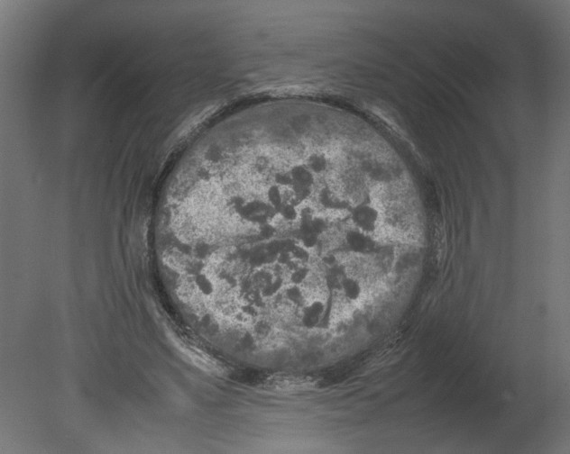 X0000080680491200701121702