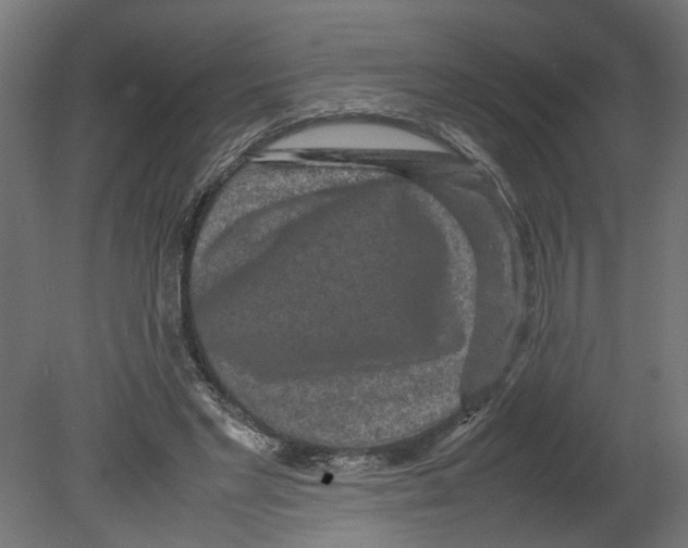 X0000080680493200701121702