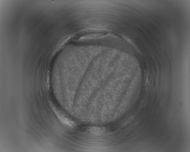 X0000080680494200701121702