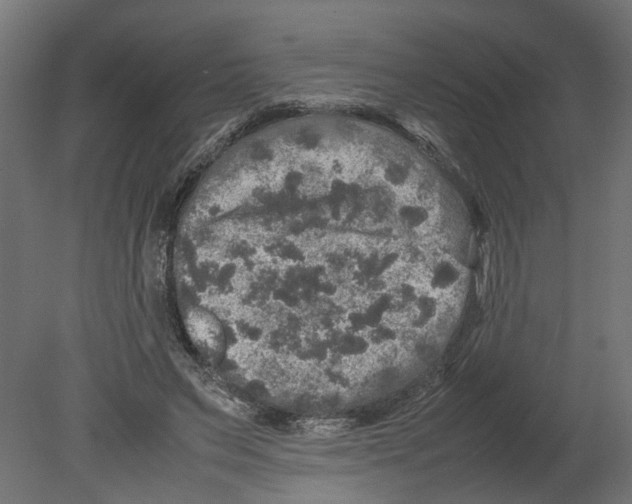 X0000080680495200701121702