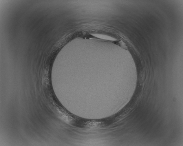 X0000080680497200701121702