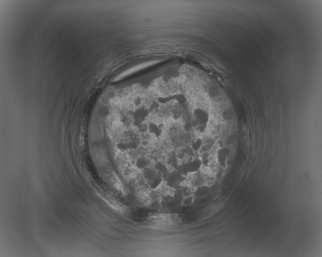 X0000080680499200701121702