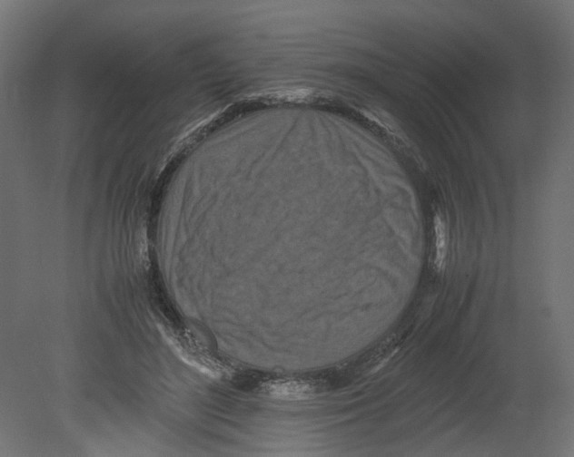 X0000080680500200701121702