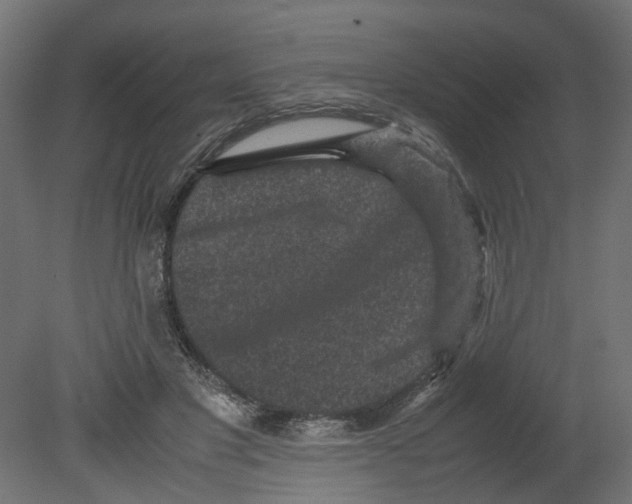 X0000080680501200701121702