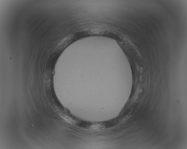 X0000080680505200701121702