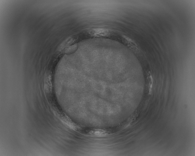 X0000080680506200701121702