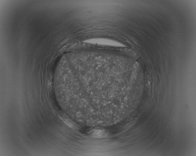 X0000080680507200701121702