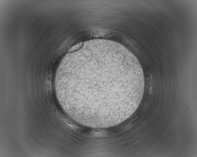 X0000080680510200701121702