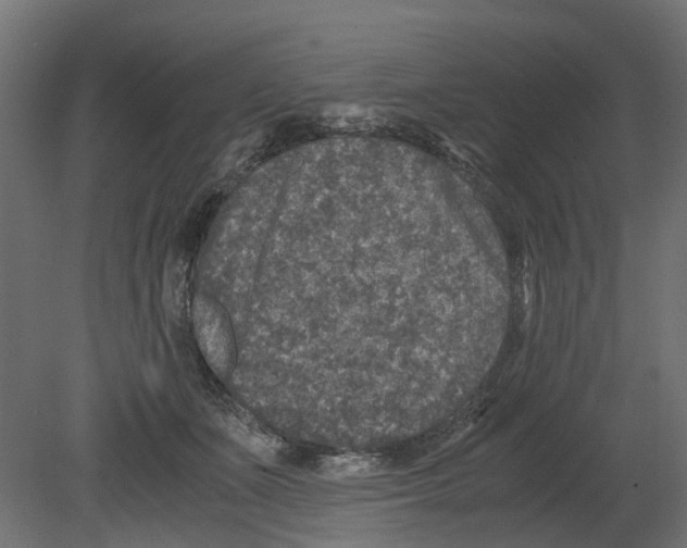 X0000080680511200701121702