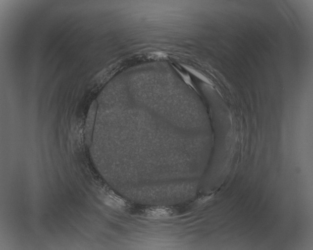 X0000080680513200701121702