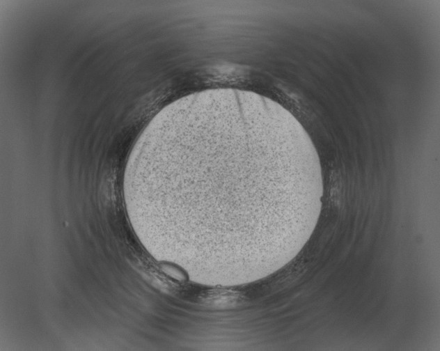 X0000080680514200701121702