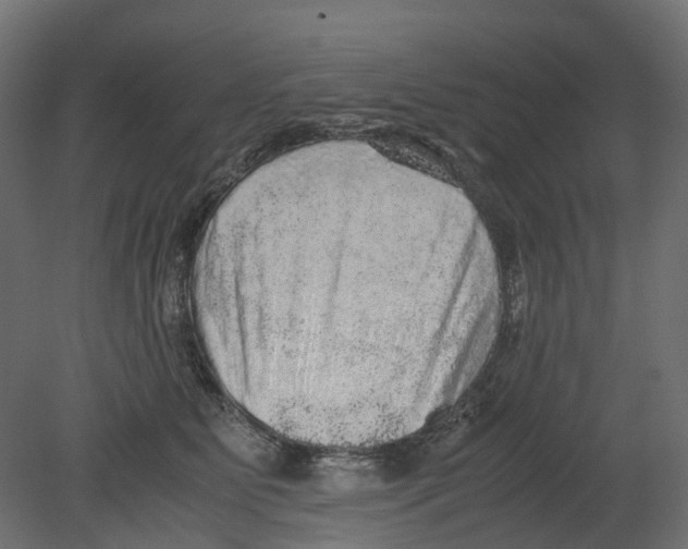 X0000080680515200701121702